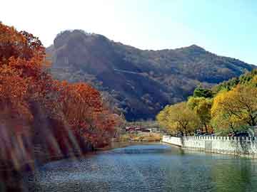 奥门天天开奖免费资料，本地山羊养殖技术